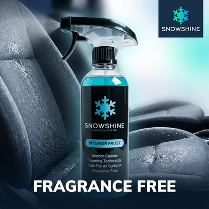 Interior Frost Cleaner