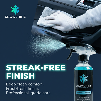 Interior Frost Cleaner