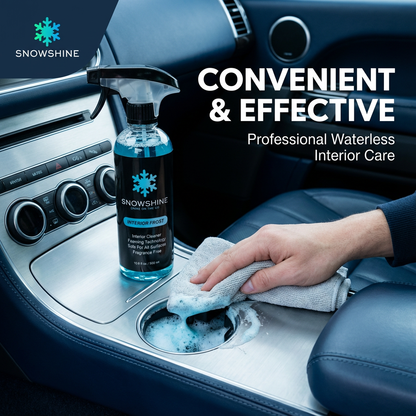Interior Frost Cleaner